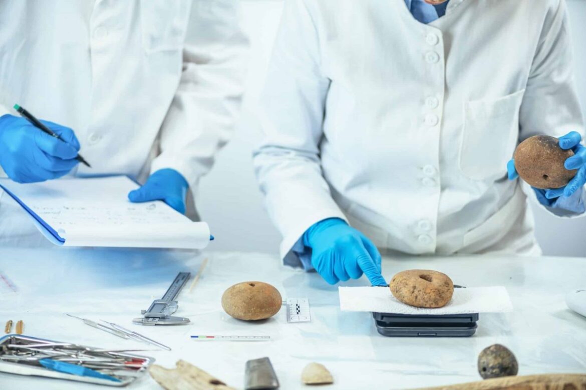 Food Safety Regulatory Compliance: Meeting National Requirements